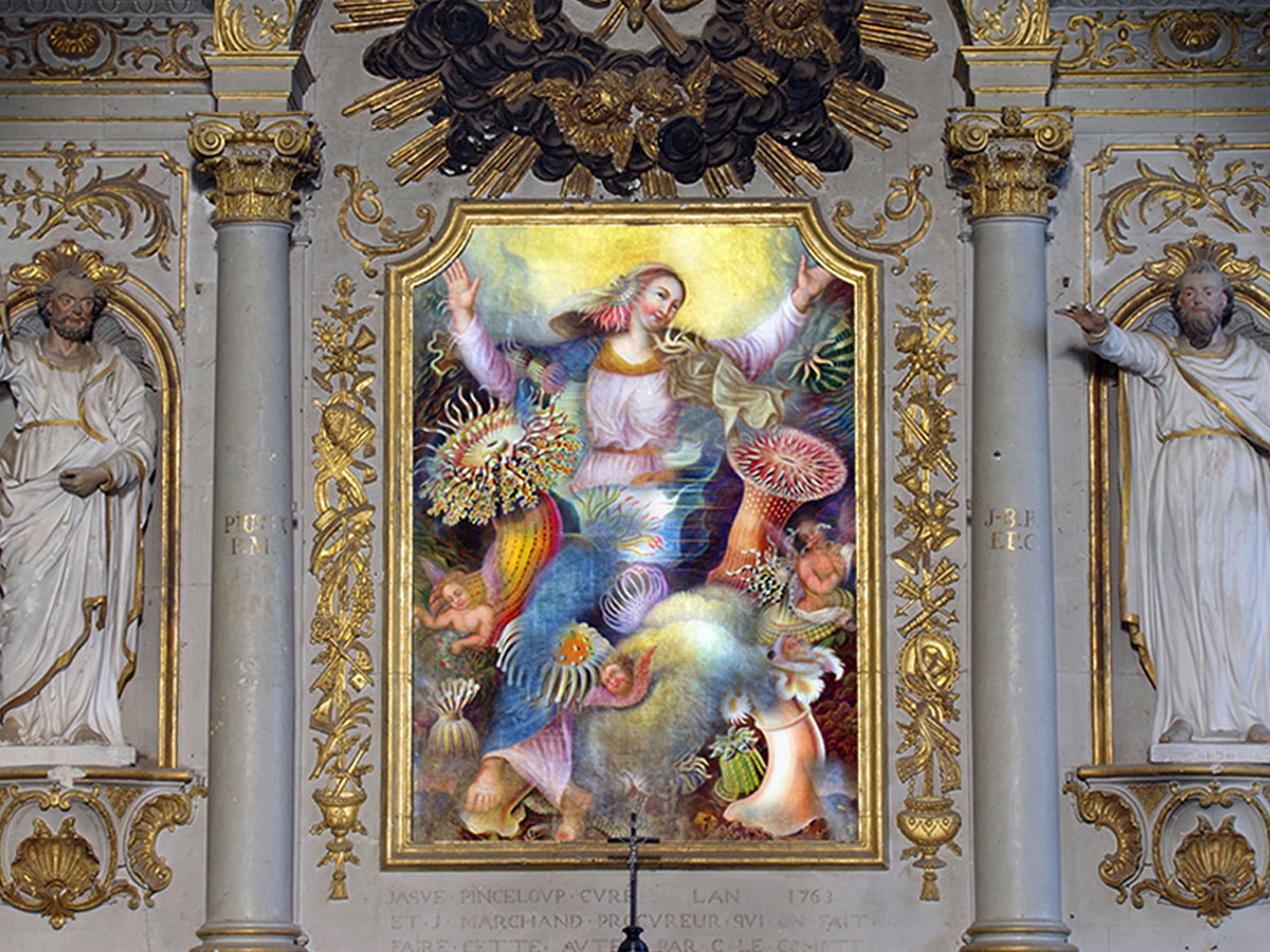 The Assumption at the altar of the Virgin & Sea Anemones